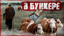 Пастух - Хамет - Аудиокниги лучшие mp3 слушать ~ бесплатно без регистрации - knigaaudio.com