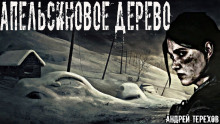 Апельсиновое дерево - Андрей Терехов - Аудиокниги лучшие mp3 слушать ~ бесплатно без регистрации - knigaaudio.com
