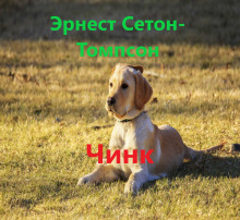 Чинк - Эрнест Сетон-Томпсон - Аудиокниги лучшие mp3 слушать ~ бесплатно без регистрации - knigaaudio.com