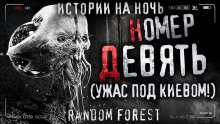 Номер девять - Random Forest - Аудиокниги лучшие mp3 слушать ~ бесплатно без регистрации - knigaaudio.com
