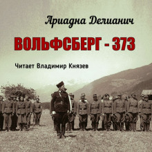 Вольфсберг-373 - Ариадна Делианич - Аудиокниги лучшие mp3 слушать ~ бесплатно без регистрации - knigaaudio.com