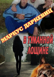 В туманной лощине - Маркус Даркевиц - Аудиокниги лучшие mp3 слушать ~ бесплатно без регистрации - knigaaudio.com