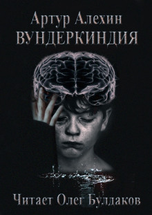 Вундеркиндия - Артур Алехин - Аудиокниги лучшие mp3 слушать ~ бесплатно без регистрации - knigaaudio.com