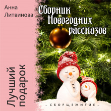 Лучший подарок - Анна Литвинова - Аудиокниги лучшие mp3 слушать ~ бесплатно без регистрации - knigaaudio.com