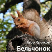 Бельчонок - Егор Куликов - Аудиокниги лучшие mp3 слушать ~ бесплатно без регистрации - knigaaudio.com