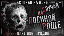 Случай на Лосиной Роще - Олег Новгородов - Аудиокниги лучшие mp3 слушать ~ бесплатно без регистрации - knigaaudio.com