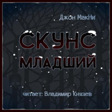 Скунс младший - Джон МакНИ - Аудиокниги лучшие mp3 слушать ~ бесплатно без регистрации - knigaaudio.com