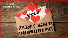 Письма о любви из тропического леса - Эдвард Ли - Аудиокниги лучшие mp3 слушать ~ бесплатно без регистрации - knigaaudio.com