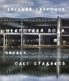 Некроткая вода - Евгений Сафронов - Аудиокниги лучшие mp3 слушать ~ бесплатно без регистрации - knigaaudio.com