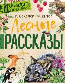 Детство - Иван Соколов-Микитов - Аудиокниги лучшие mp3 слушать ~ бесплатно без регистрации - knigaaudio.com