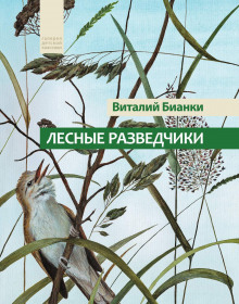 Лесные разведчики - Виталий Бианки - Аудиокниги лучшие mp3 слушать ~ бесплатно без регистрации - knigaaudio.com