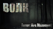 Волк - Ира Малинник - Аудиокниги лучшие mp3 слушать ~ бесплатно без регистрации - knigaaudio.com