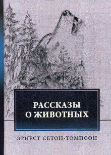 Виннипегский волк - Эрнест Сетон-Томпсон - Аудиокниги лучшие mp3 слушать ~ бесплатно без регистрации - knigaaudio.com