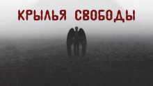 Крылья свободы - Александр Цзи - Аудиокниги лучшие mp3 слушать ~ бесплатно без регистрации - knigaaudio.com