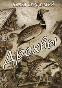 Дрохвы - Павел Сурожский - Аудиокниги лучшие mp3 слушать ~ бесплатно без регистрации - knigaaudio.com