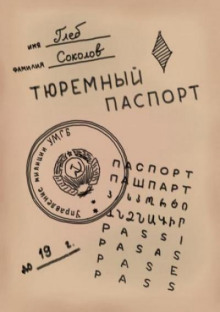 Тюремный паспорт. Часть 4 - Глеб Соколов - Аудиокниги лучшие mp3 слушать ~ бесплатно без регистрации - knigaaudio.com