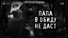 В обиду не даст - Роман Башаев - Аудиокниги лучшие mp3 слушать ~ бесплатно без регистрации - knigaaudio.com
