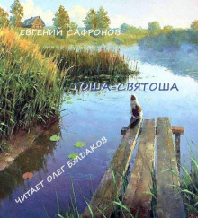 Тоша-святоша - Евгений Сафронов - Аудиокниги лучшие mp3 слушать ~ бесплатно без регистрации - knigaaudio.com