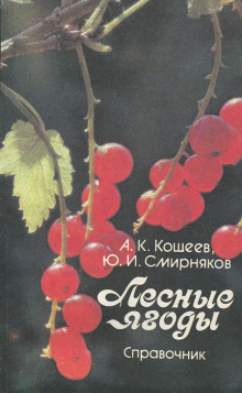 Лесные ягоды - Аркадий Кощеев - Аудиокниги лучшие mp3 слушать ~ бесплатно без регистрации - knigaaudio.com