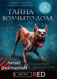 Тайна волчьего дола - Эльмира Шабурова - Аудиокниги лучшие mp3 слушать ~ бесплатно без регистрации - knigaaudio.com