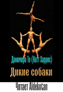 Дикие собаки - Данимира То (Натт Харрис) - Аудиокниги лучшие mp3 слушать ~ бесплатно без регистрации - knigaaudio.com