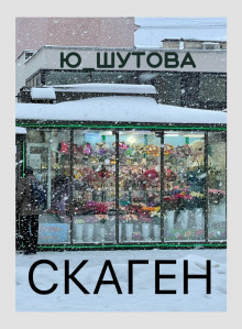 Скаген - Юлия Шутова - Аудиокниги лучшие mp3 слушать ~ бесплатно без регистрации - knigaaudio.com