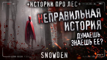 Неправильная история - Snow Den - Аудиокниги лучшие mp3 слушать ~ бесплатно без регистрации - knigaaudio.com