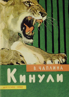 Кинули - Вера Чаплина - Аудиокниги лучшие mp3 слушать ~ бесплатно без регистрации - knigaaudio.com