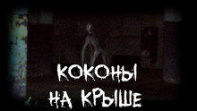 Коконы на крыше - FrFr - Аудиокниги лучшие mp3 слушать ~ бесплатно без регистрации - knigaaudio.com