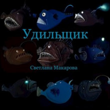 Удильщик - Светлана Макарова - Аудиокниги лучшие mp3 слушать ~ бесплатно без регистрации - knigaaudio.com
