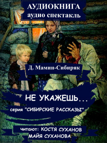Не укажешь… - Дмитрий Мамин-Сибиряк - Аудиокниги лучшие mp3 слушать ~ бесплатно без регистрации - knigaaudio.com