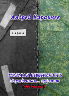 Прямая видимость - Автор неизвестен - Аудиокниги лучшие mp3 слушать ~ бесплатно без регистрации - knigaaudio.com