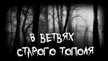 В ветвях старого тополя - Владимир Леонтьев - Аудиокниги лучшие mp3 слушать ~ бесплатно без регистрации - knigaaudio.com