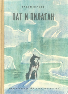 Приключения мальчика Пата - Вадим Нечаев - Аудиокниги лучшие mp3 слушать ~ бесплатно без регистрации - knigaaudio.com
