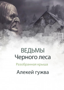 Разобранная крыша - Алексей Гужва - Аудиокниги лучшие mp3 слушать ~ бесплатно без регистрации - knigaaudio.com