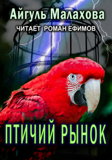 Птичий рынок - Айгуль Малахова - Аудиокниги лучшие mp3 слушать ~ бесплатно без регистрации - knigaaudio.com