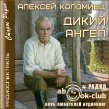 Дикий Ангел - Алексей Коломиец - Аудиокниги лучшие mp3 слушать ~ бесплатно без регистрации - knigaaudio.com