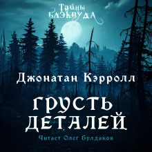 Грусть деталей - Джонатан Кэрролл - Аудиокниги лучшие mp3 слушать ~ бесплатно без регистрации - knigaaudio.com