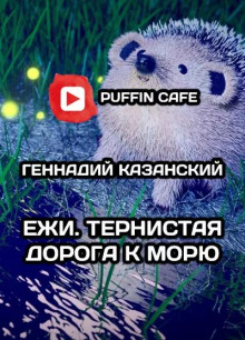 Ежи. Тернистая дорога к морю - Геннадий Казанский - Аудиокниги лучшие mp3 слушать ~ бесплатно без регистрации - knigaaudio.com
