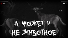А может и не животное - Автор неизвестен - Аудиокниги лучшие mp3 слушать ~ бесплатно без регистрации - knigaaudio.com