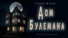 Дом Булемана - Теодор Шторм - Аудиокниги лучшие mp3 слушать ~ бесплатно без регистрации - knigaaudio.com