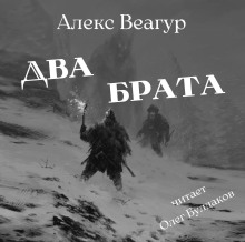 Два брата - Автор неизвестен - Аудиокниги лучшие mp3 слушать ~ бесплатно без регистрации - knigaaudio.com