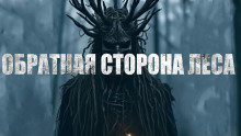 Обратная сторона леса - Ира Малинник - Аудиокниги лучшие mp3 слушать ~ бесплатно без регистрации - knigaaudio.com