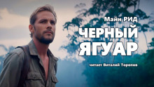 Черный ягуар - Томас Майн Рид - Аудиокниги лучшие mp3 слушать ~ бесплатно без регистрации - knigaaudio.com