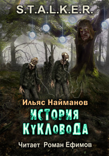 S.T.A.L.K.E.R. История Кукловода - Ильяс Найманов - Аудиокниги лучшие mp3 слушать ~ бесплатно без регистрации - knigaaudio.com