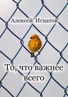 То, что важнее всего - Алексей Игнатов - Аудиокниги лучшие mp3 слушать ~ бесплатно без регистрации - knigaaudio.com