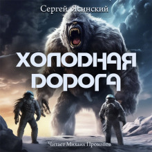 Холодная дорога - Сергей Ясинский - Аудиокниги лучшие mp3 слушать ~ бесплатно без регистрации - knigaaudio.com