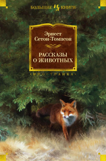 Буйный и Колючая Холка - Эрнест Сетон-Томпсон - Аудиокниги лучшие mp3 слушать ~ бесплатно без регистрации - knigaaudio.com