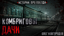 Комбриговы дачи - Олег Новгородов - Аудиокниги лучшие mp3 слушать ~ бесплатно без регистрации - knigaaudio.com
