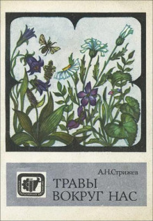 Травы вокруг нас - Александр Стрижев - Аудиокниги лучшие mp3 слушать ~ бесплатно без регистрации - knigaaudio.com